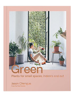 green small book cover